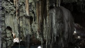 riesigen hohlen 300x169 - Entdeckung von riesigen Höhlen, die Hunderte von Tieren beherbergen