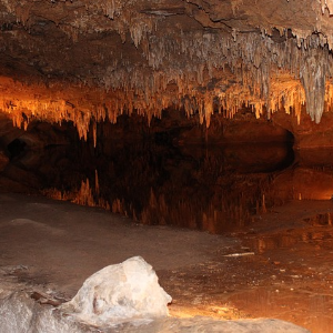 riesigen hohlen 300x300 - Entdeckung von riesigen Höhlen, die Hunderte von Tieren beherbergen