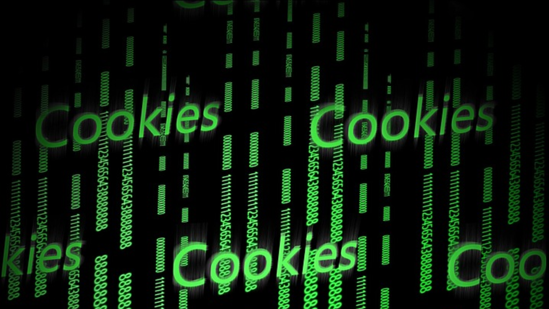 Browserverlauf und Cookies im Test und Vergleich