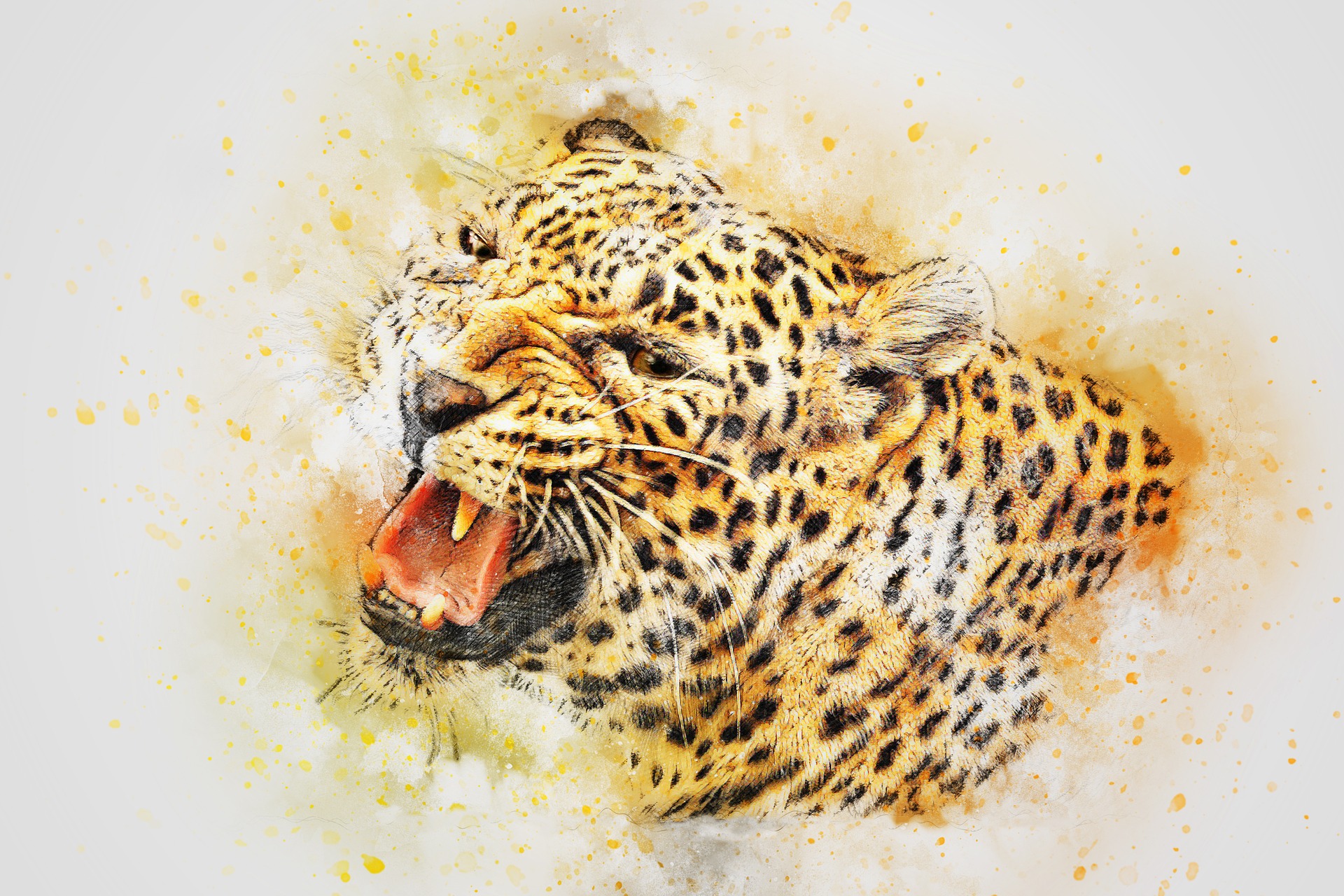 Leoparden - Wie leben sie?