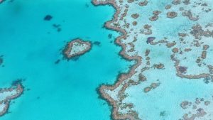 dell technologie rettet great barrier reef 300x169 - Australien: Technologie rettet das Great Barrier Reef