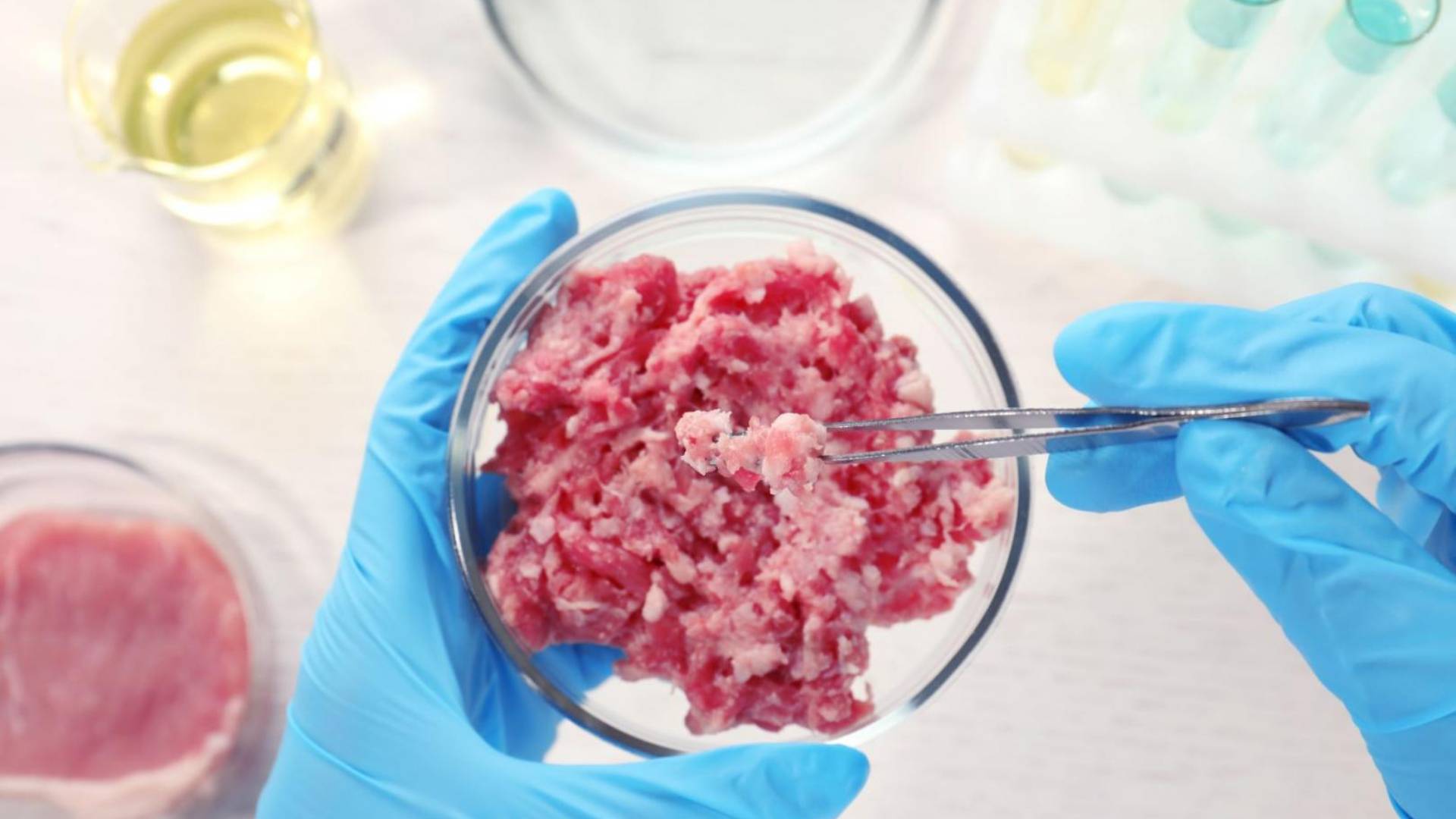 Fleisch aus dem Labor – Ein Ernährungstrend, der gerade erst in den Startlöchern steht