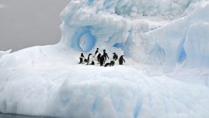 antarktis konnte in einem jahrzehnt kollabieren 300x169 - Die Antarktis könnte in einem Jahrzehnt kollabieren