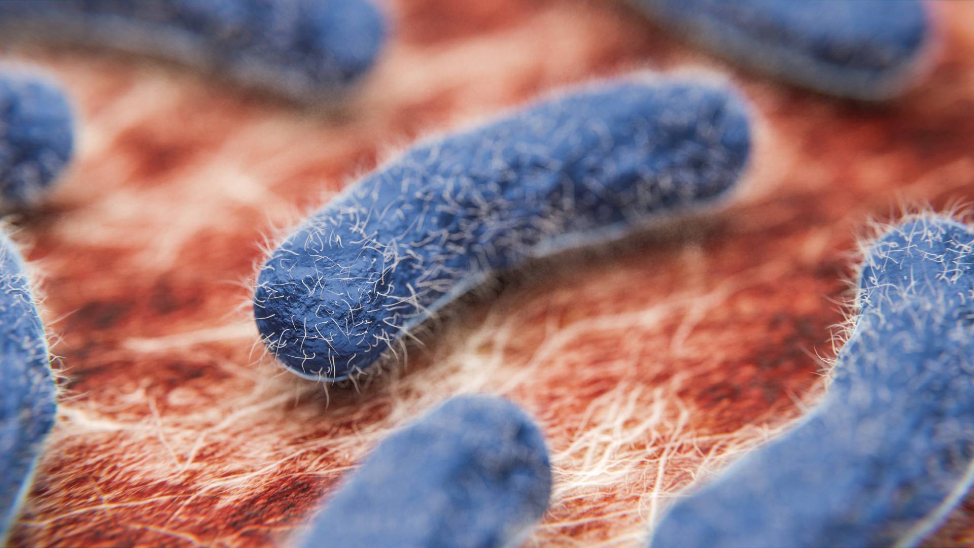 Mikrobe, Virus, Bakterium: Was ist der Unterschied? Definition