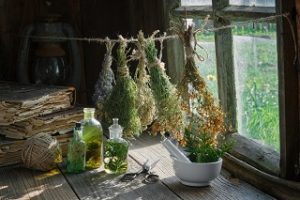 wirkstoffe aus pflanzen und krautern 300x200 - Hausmittel: wirksame Helfer aus Küche und Garten