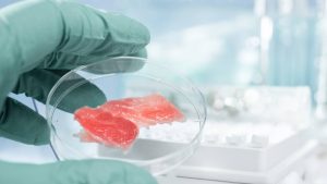 in vitro fleisch ernahrung zukunft 300x169 - In-vitro-Fleisch: Ist das die Ernährung der Zukunft?
