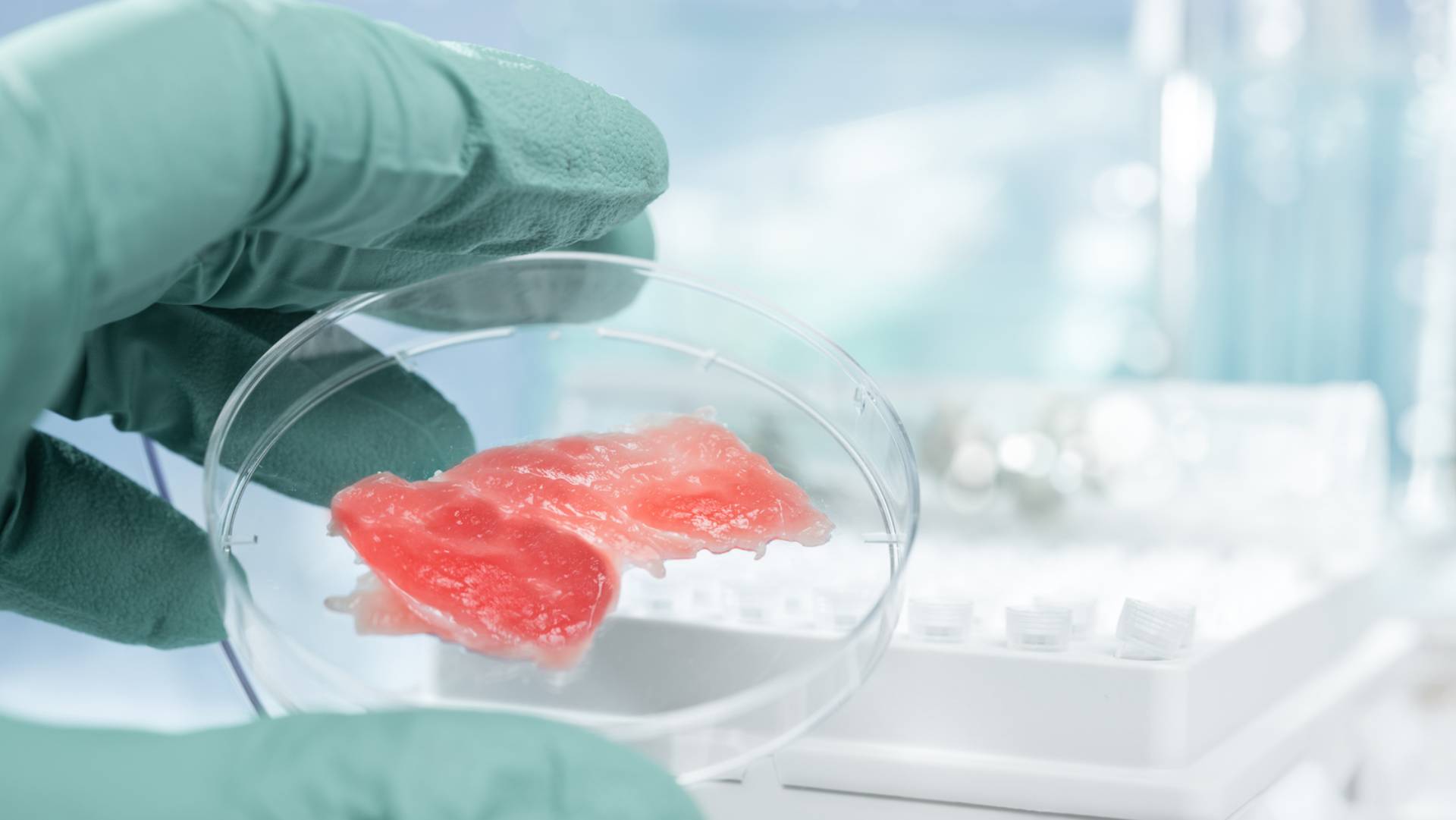 In-vitro-Fleisch - Ist das die Ernährung der Zukunft