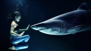 angst vor haien bekampfen 300x169 - Warum muss man keine Angst vor Haien haben?