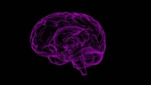 Nutzt das menschliche Gehirn eigentlich nur 10% seiner Kapazität?
