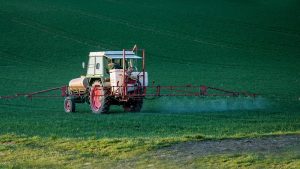 pestizide 300x169 - Wie gefährlich sind Pestizide wirklich?