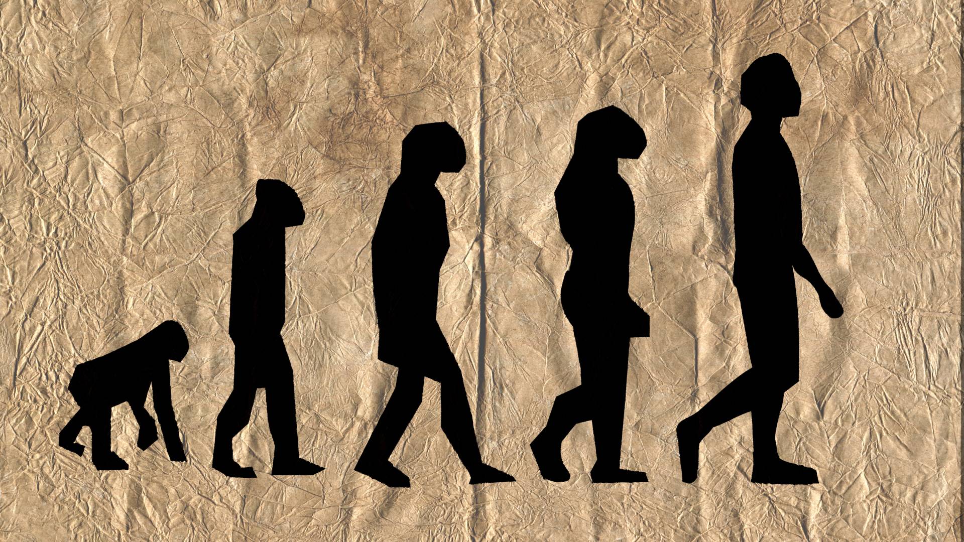 Was genau ist die Evolutionstheorie? Eine Definition