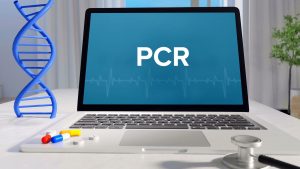Funktionsweise der PCR