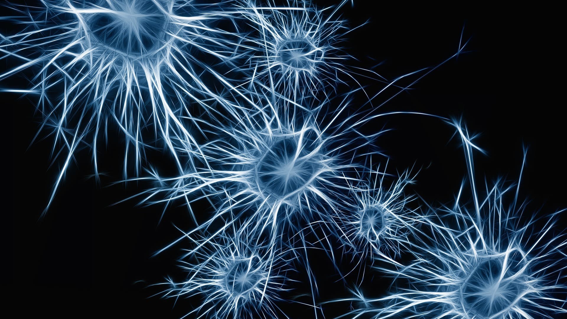 Neuron - Was ist das? Eine Definition