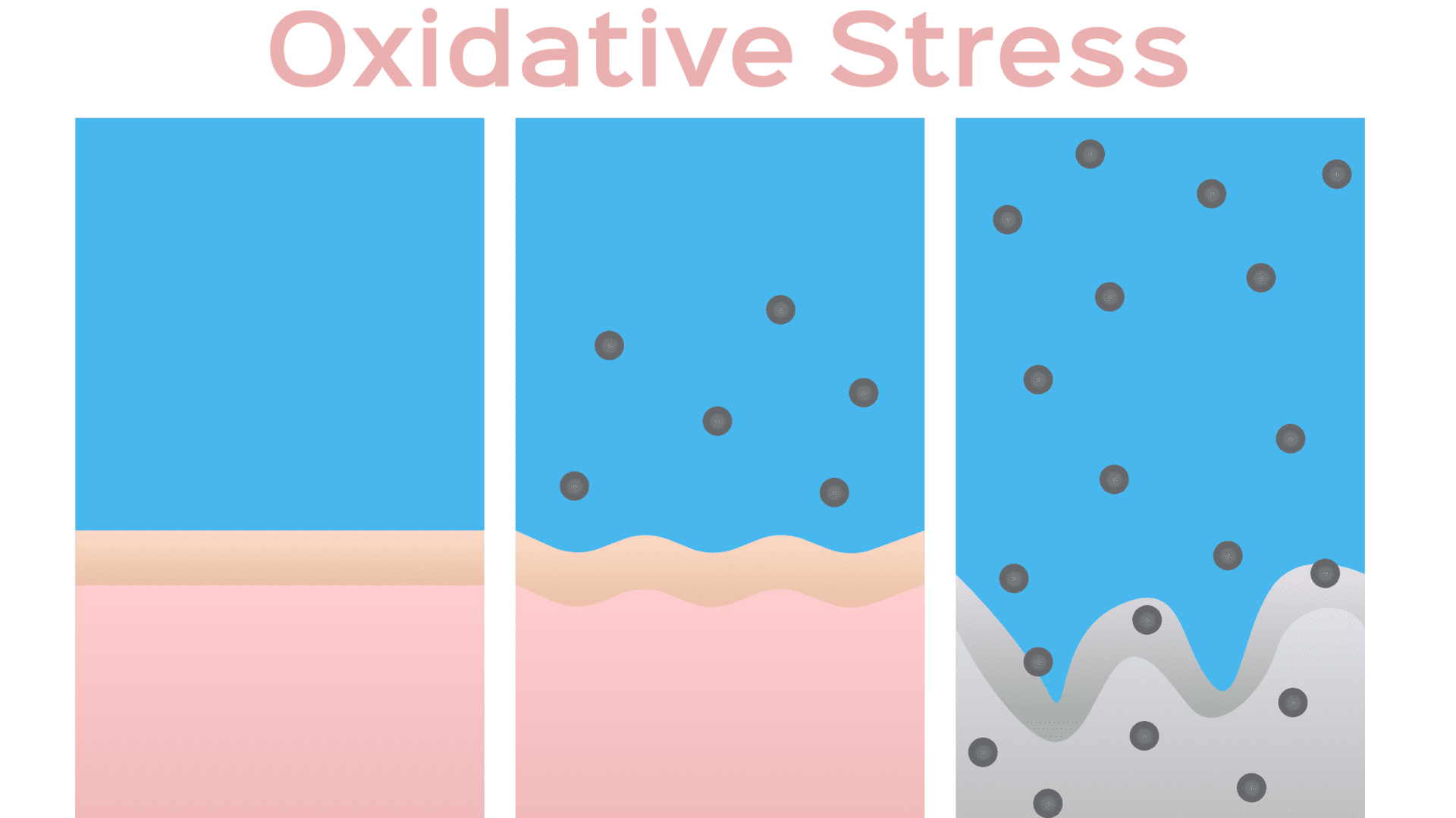 Oxidativer Stress – Was ist das? Eine Definition