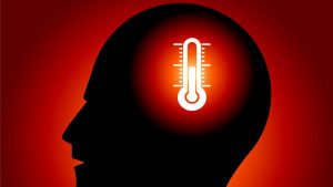 temperatur gehirn betragen 300x169 - Die Temperatur im Gehirn kann über 40 °C betragen!