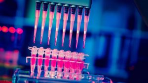bluttest zur bestimmung der behandlung 300x169 - Krebs: Ein Bluttest zur Bestimmung der bestmöglichen Behandlung