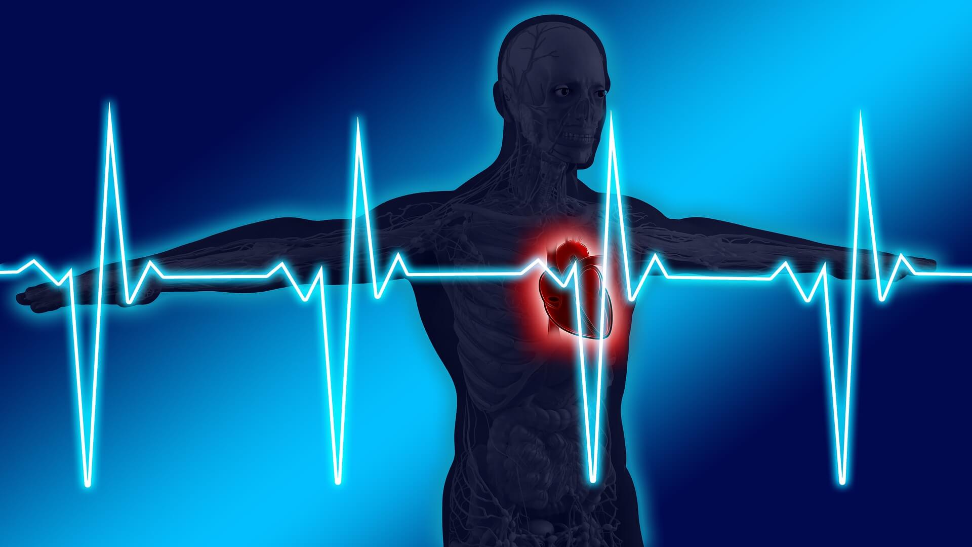 Indikatoren, die Sie für ein gesundes Herz beachten sollten