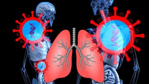 lunge 300x169 - Die Lunge - Was ist sie genau? Eine Definition