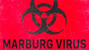 Erste bestätigte Fälle des Marburg-Virus in Ghana