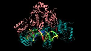 ki struktur proteine vorausberechnet 300x169 - Diese KI hat die Struktur von 200 Millionen Proteinen vorausberechnet!