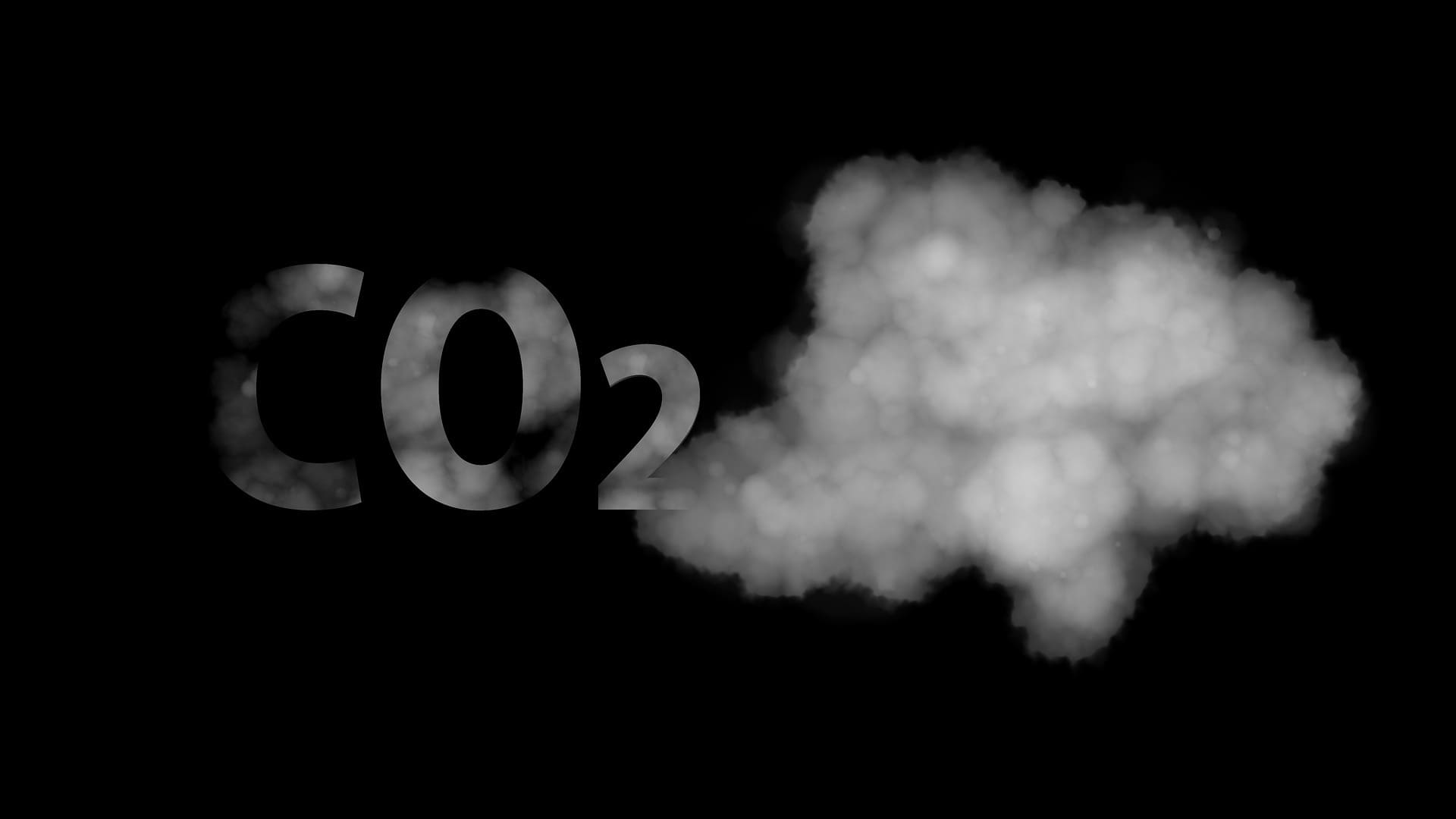 Funktionsweise einer CO2-Senke
