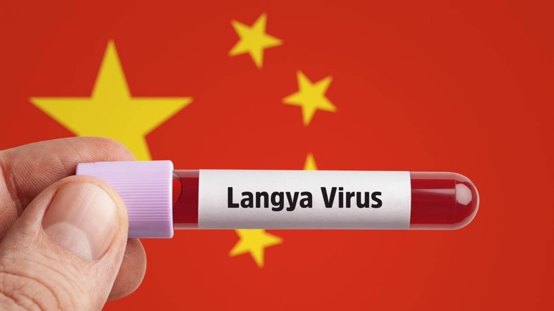 Langya-Virus: Was wissen wir über dieses neue Virus, das in China entdeckt wurde?