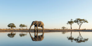 bild 1 300x150 - Naturwunder Botswana - Warum das Land zu den reizvollsten in Afrika gehört