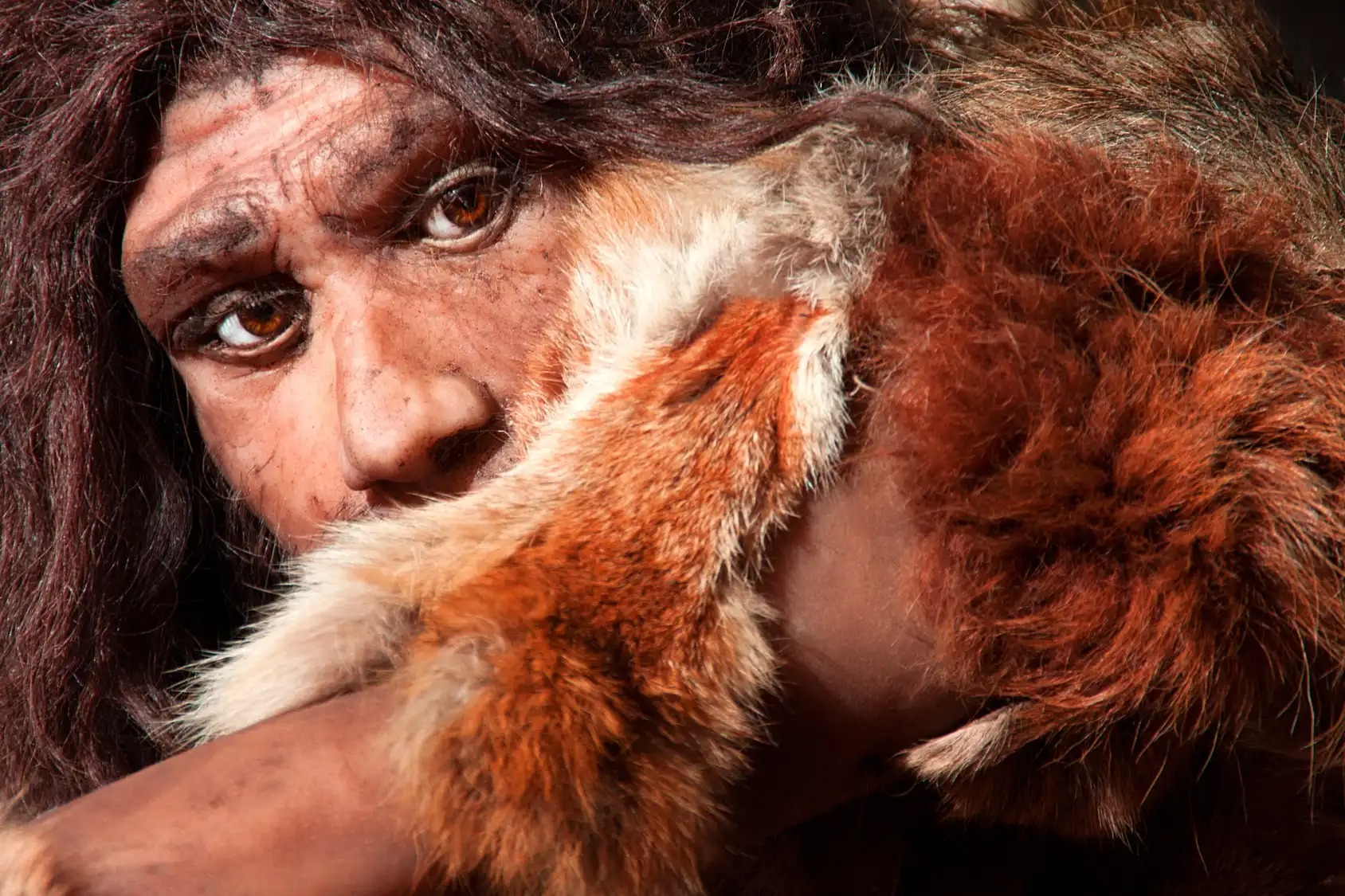 homme prehistorique - Denisova-Homo sapiens: Erfolgreiche Hybridisierung für das Immunsystem der Papua?