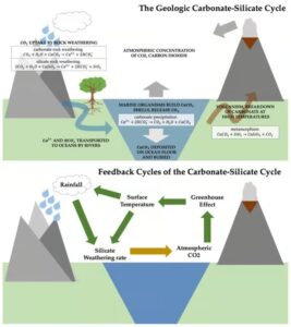 carbon slicate cycle feedbacks 267x300 - Wie die Erde ihre Temperatur reguliert