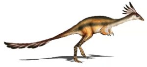 alvarezsaurus 300x137 - Dinosaurier: Doch wozu waren diese seltsamen Krallen gut?