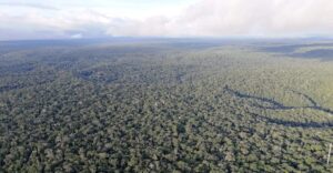 amazonie foret pluie 300x156 - Weniger Bäume in den Tropen bedeuten weniger Regen.