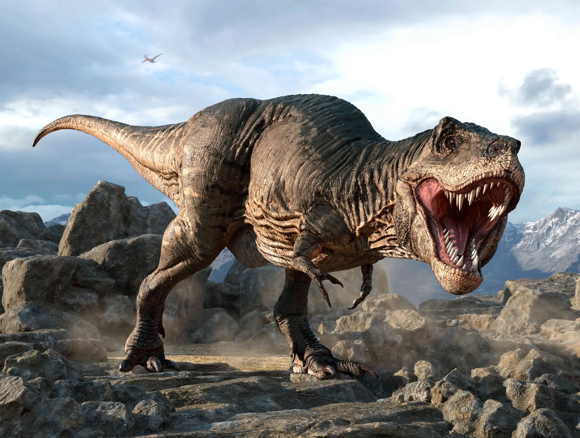 tyrannosaurus warpaintcobra adob - Der Kopf des Tyrannosaurus war anders, als man sich das gemeinhin vorstellt