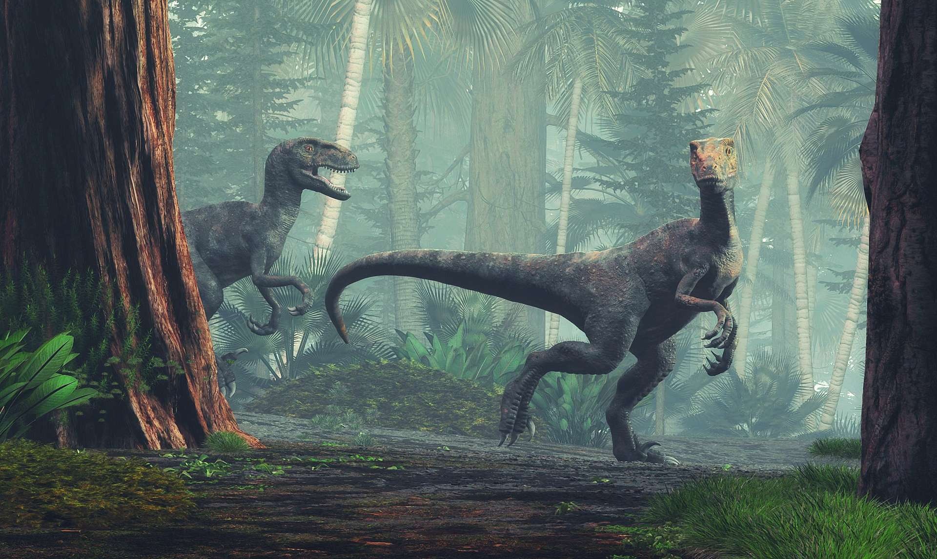 dinosaures velociraptor - Überraschung! Dinosaurier konnten sich in andere hineinversetzen
