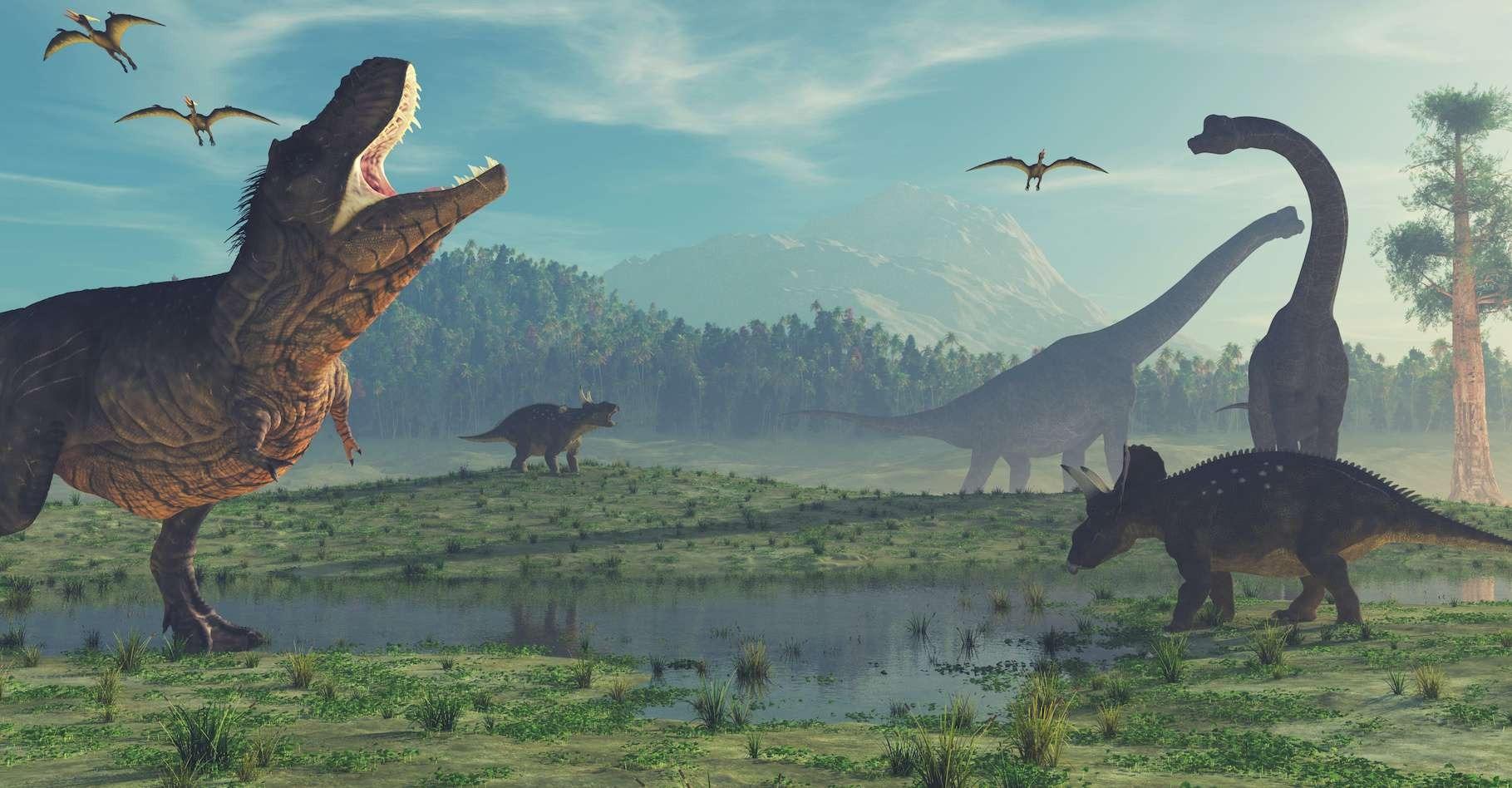 dinosaures bioviva - Hunderte von Dinosaurierspuren an dieser einzigartigen Ausgrabungsstätte entdeckt.