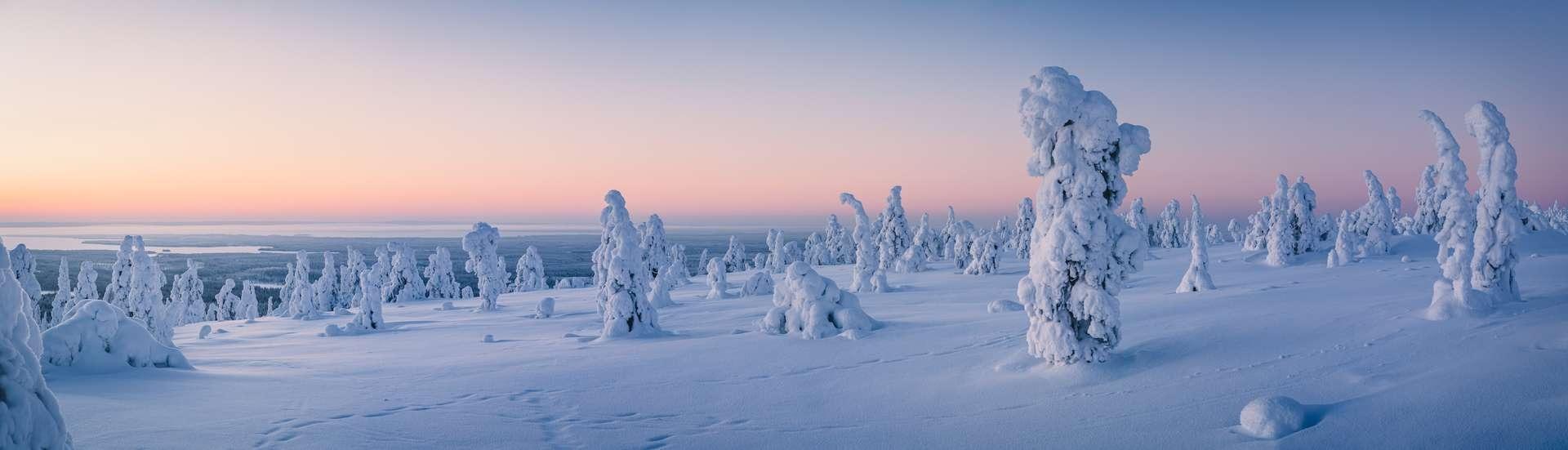 paysage finlande cercle arctique - Zufällig haben Archäologen an dieser Stelle Spuren menschlicher Präsenz entdeckt.