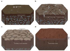 polygones gel degel mars 300x219 - Mars: Rover entdeckt seltsame polygonale Muster, die im Boden vergraben sind