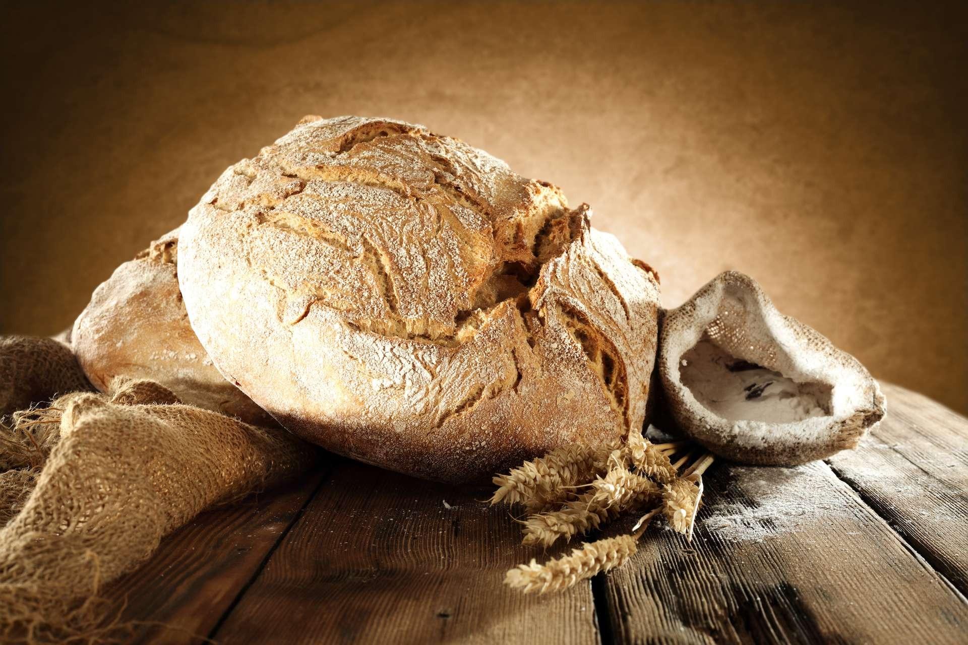pain - Außergewöhnliche Entdeckung: Ein Brot, das vor 8600 Jahren gebacken wurde und noch erhalten ist.