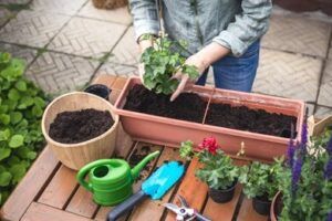 Qu’est-ce qu’une jardinière ?