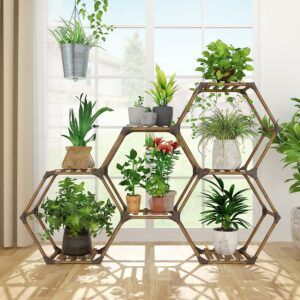 Quelle étagère à plantes transformable pour fenêtre utiliser ?
