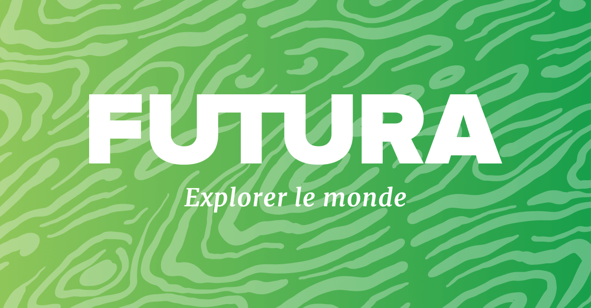 www.futura-sciences.com