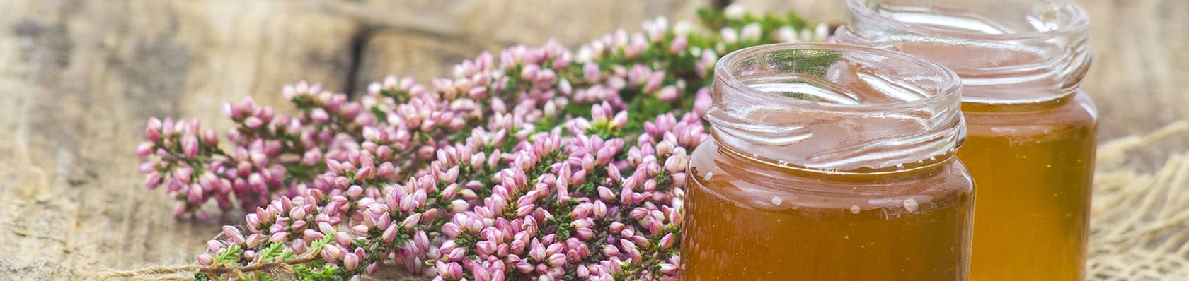 Les 7 meilleurs miels 2023 – miel test & comparatif